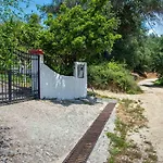 Summer House