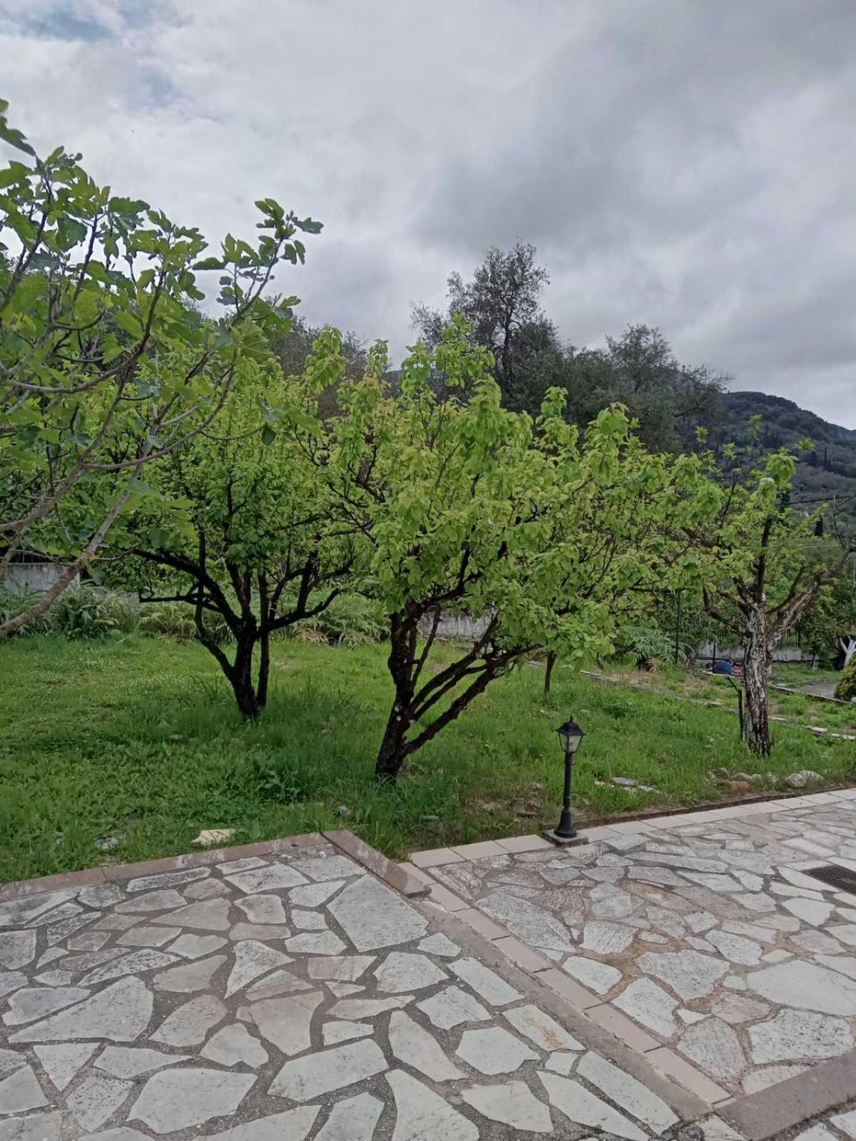 Apartment Summer House Agios Georgios Pagon