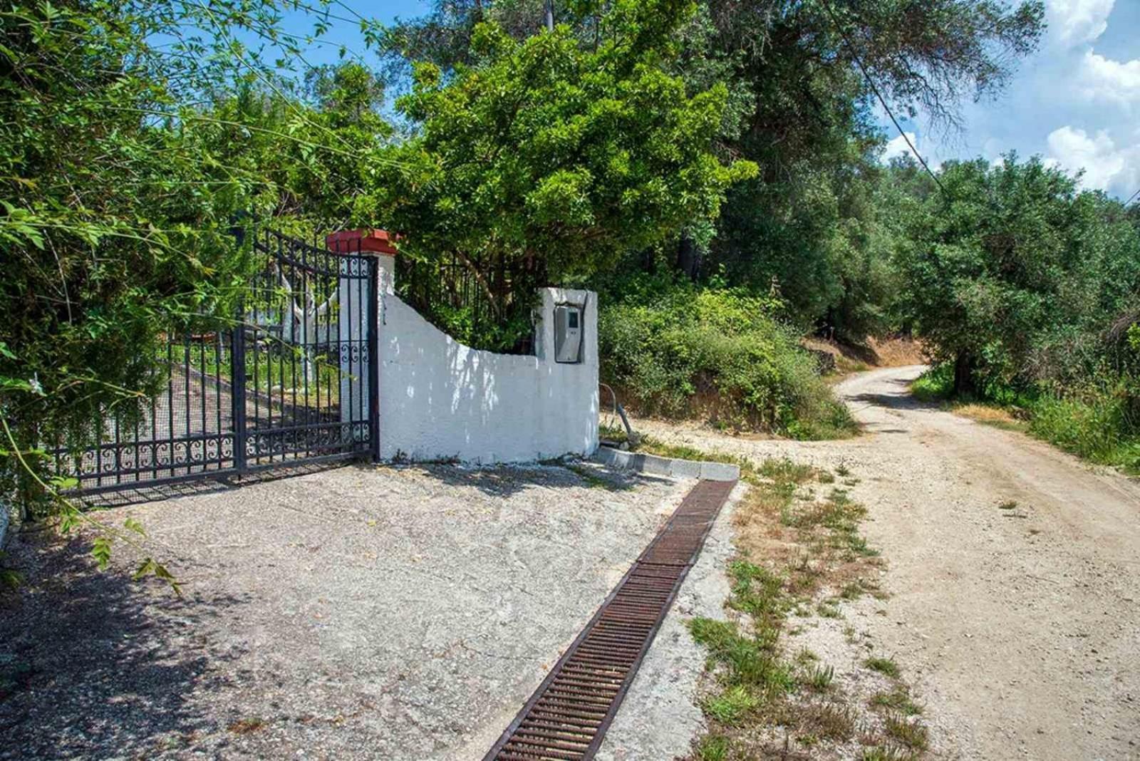 Summer House Apartament